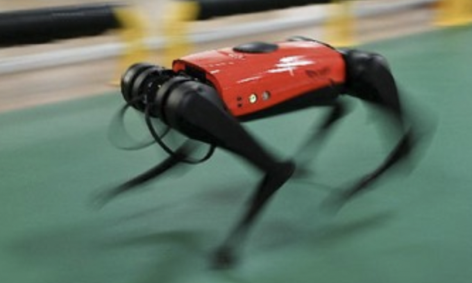 Một chó robot đang hoạt động. Ảnh: AFP